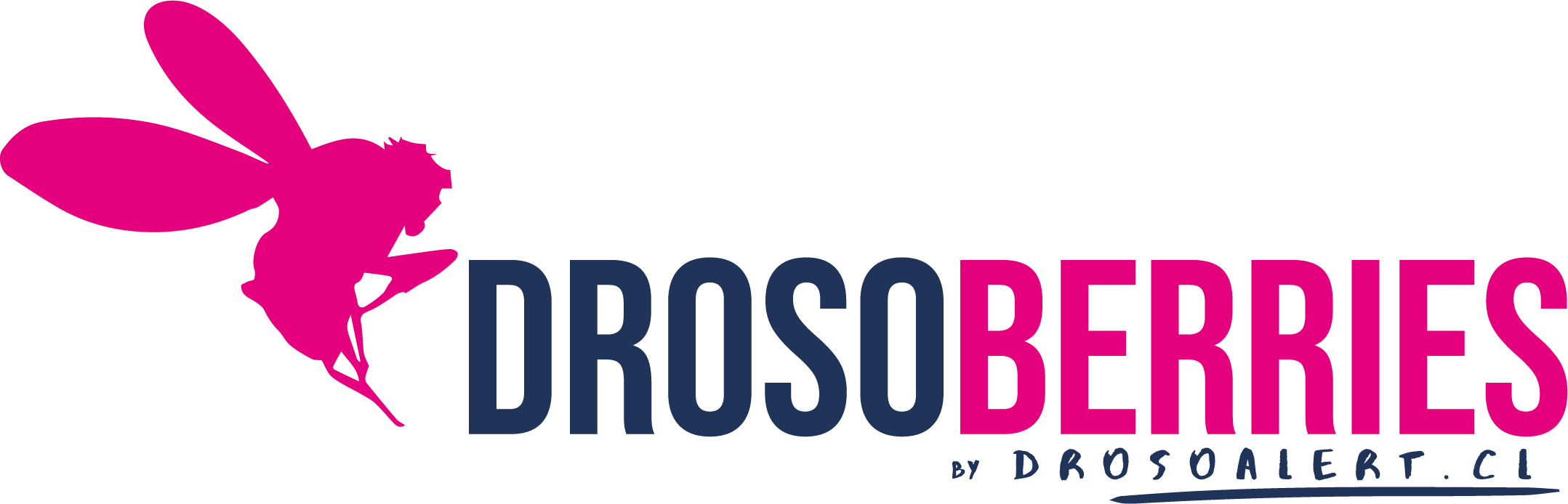 cropped logo drosoberries 01.png