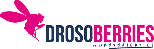drosoberries logo 2023